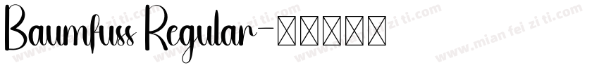 Baumfuss Regular字体转换